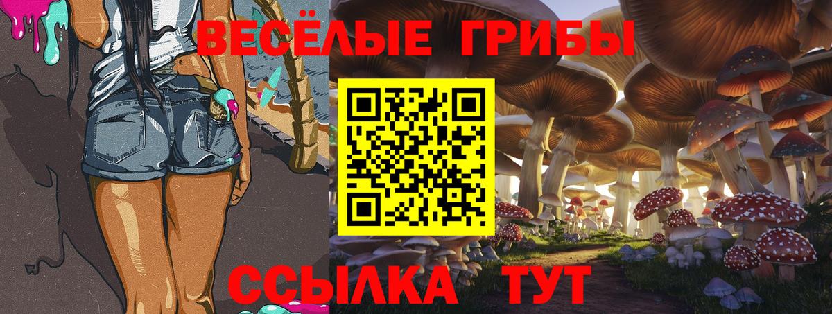 Псилоцибиновые грибы Psilocybine cubensis  Вход с VPN  Кубинка 